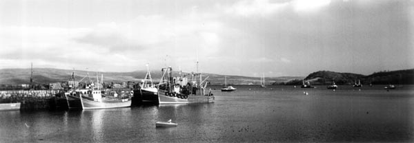 fishing fleet