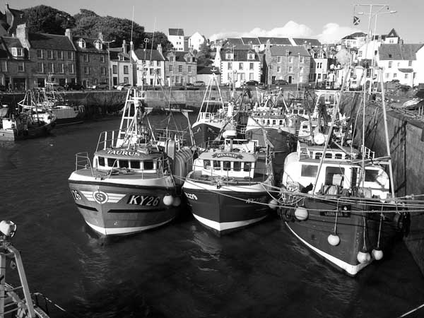 fisheries