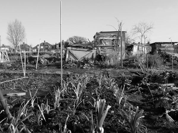allotment